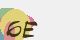 securitycode