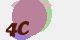 securitycode