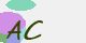 securitycode