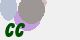 securitycode