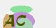 securitycode