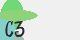 securitycode