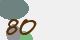 securitycode