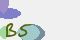 securitycode