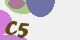 securitycode