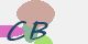 securitycode