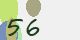 securitycode