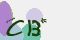 securitycode