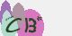 securitycode