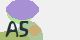 securitycode