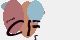 securitycode