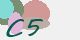 securitycode
