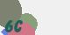 securitycode