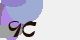 securitycode