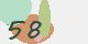 securitycode
