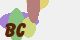 securitycode