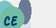 securitycode