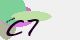 securitycode