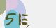securitycode