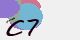 securitycode