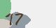securitycode