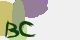 securitycode