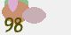 securitycode