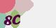 securitycode