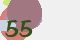 securitycode