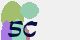 securitycode