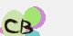 securitycode