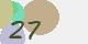 securitycode