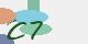 securitycode