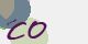 securitycode