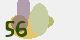 securitycode