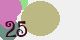 securitycode