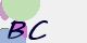securitycode