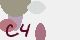 securitycode