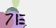 securitycode