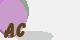 securitycode