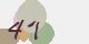 securitycode