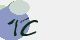 securitycode