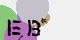 securitycode
