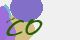 securitycode