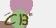 securitycode