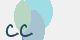 securitycode