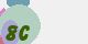 securitycode