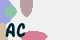 securitycode