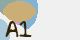securitycode