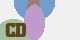 securitycode
